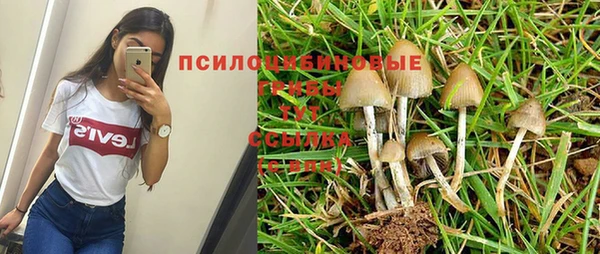 гидропоника Волоколамск
