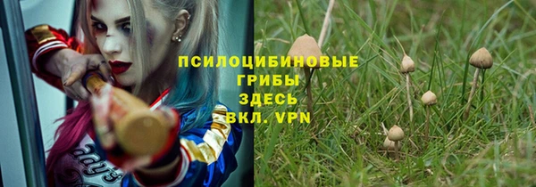 ECSTASY Снежногорск