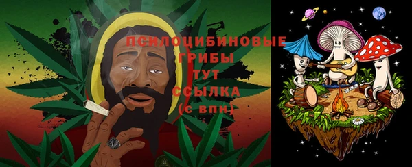 Альфа ПВП Володарск